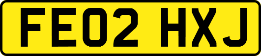 FE02HXJ