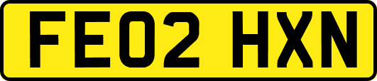 FE02HXN