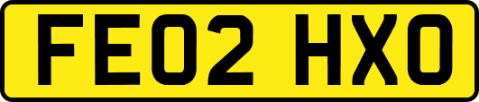 FE02HXO