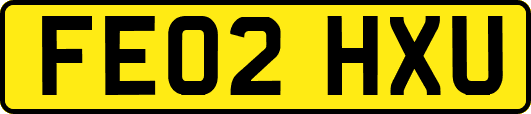 FE02HXU