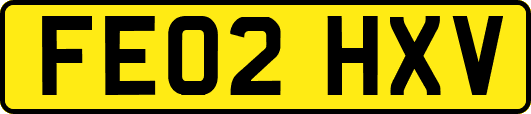 FE02HXV