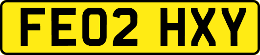 FE02HXY