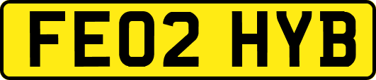 FE02HYB