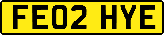 FE02HYE