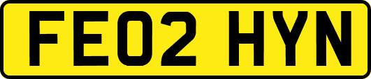 FE02HYN
