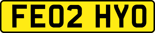 FE02HYO
