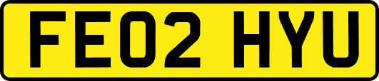 FE02HYU