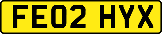 FE02HYX