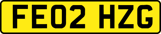 FE02HZG