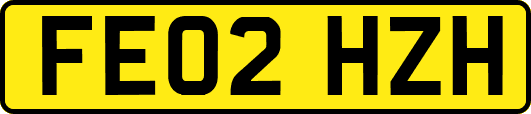 FE02HZH
