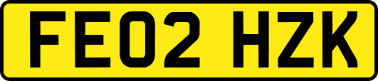 FE02HZK