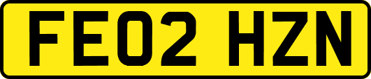 FE02HZN