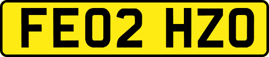 FE02HZO