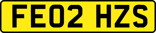 FE02HZS