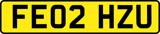 FE02HZU