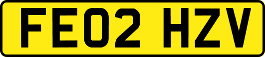 FE02HZV
