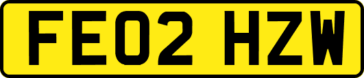 FE02HZW