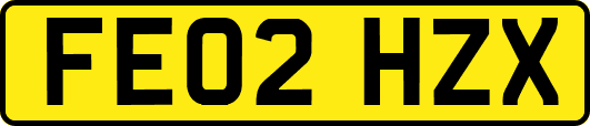 FE02HZX