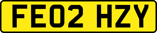 FE02HZY