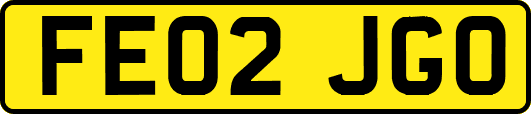 FE02JGO