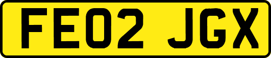FE02JGX