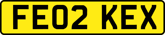 FE02KEX