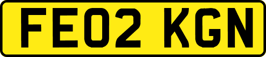 FE02KGN