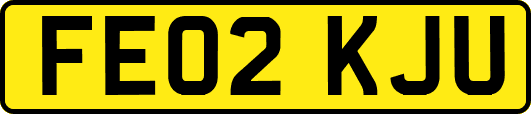 FE02KJU