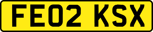 FE02KSX