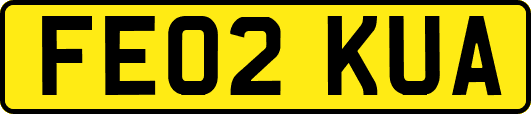 FE02KUA