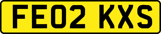 FE02KXS