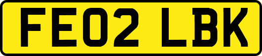 FE02LBK