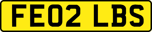 FE02LBS