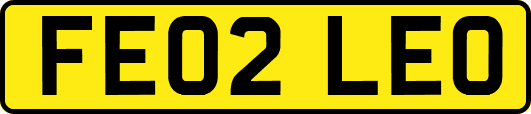 FE02LEO