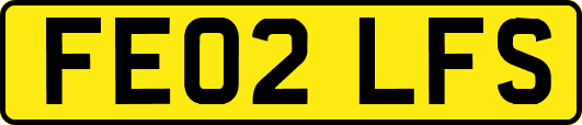FE02LFS