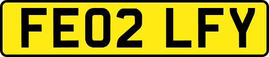 FE02LFY