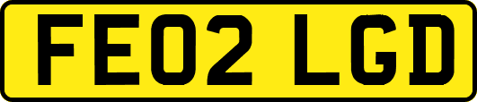 FE02LGD