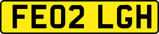 FE02LGH