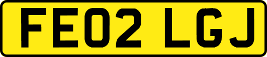 FE02LGJ