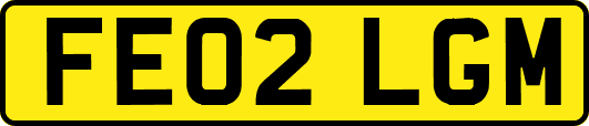 FE02LGM