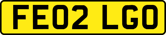 FE02LGO