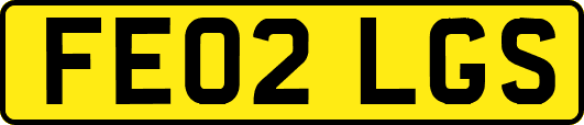 FE02LGS