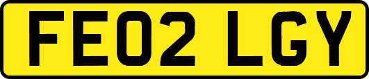 FE02LGY