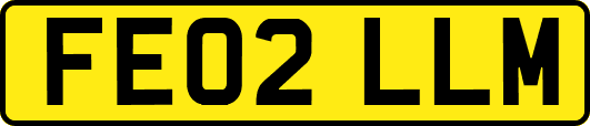 FE02LLM