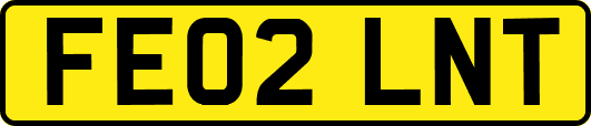 FE02LNT