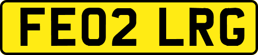 FE02LRG