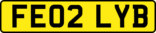 FE02LYB