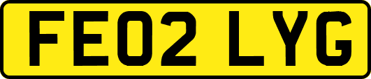 FE02LYG