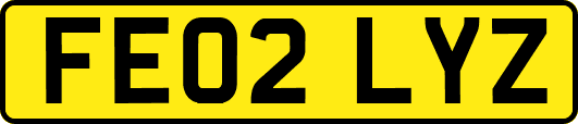 FE02LYZ