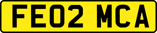 FE02MCA